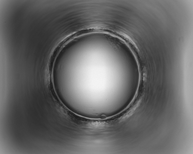 X0000089901117200707051303
