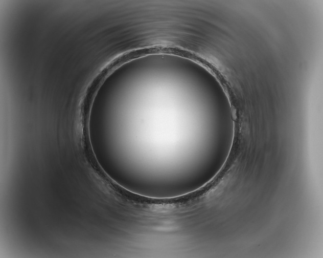 X0000089901118200707051303