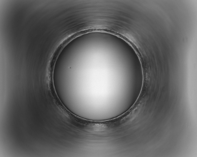 X0000089901119200707051303