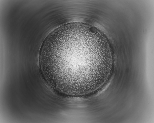 X0000089901121200707051303