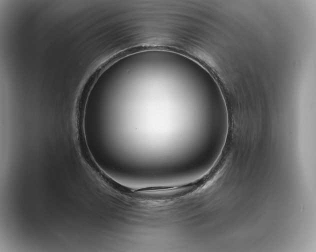 X0000089901122200707051303