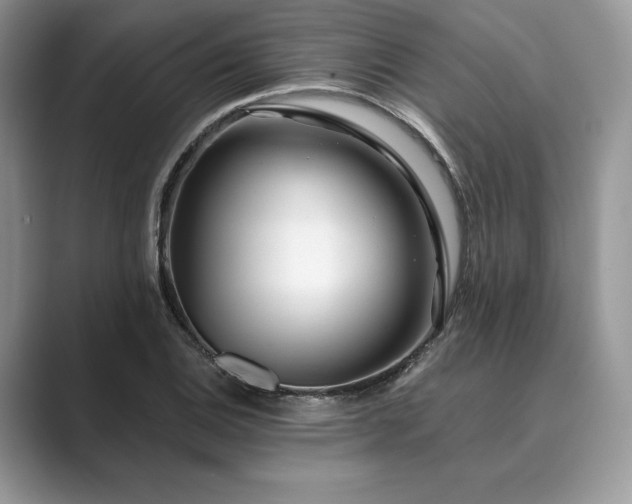 X0000089901124200707051303