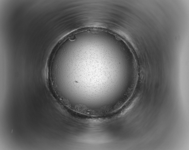 X0000089901125200707051303