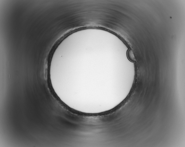 X0000089901126200707051303
