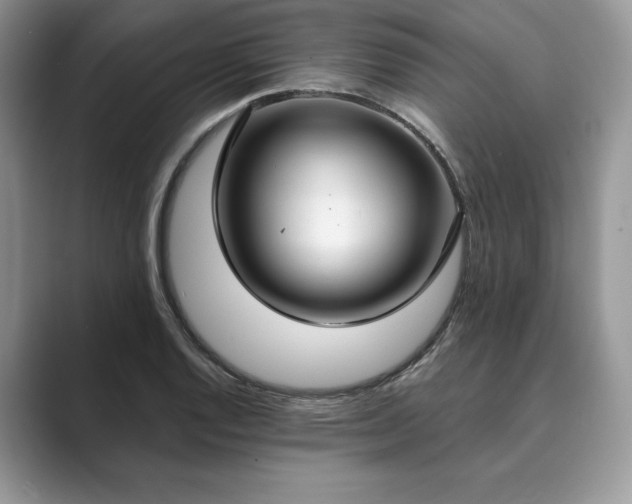 X0000089901128200707051303