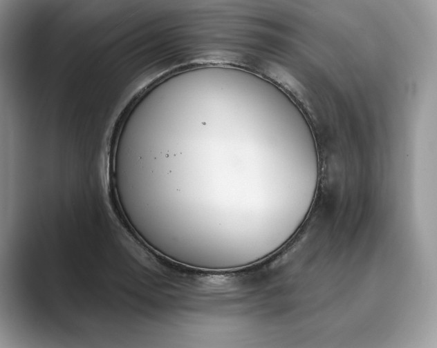 X0000089901130200707051303