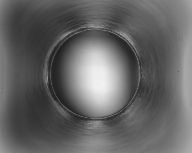 X0000089901131200707051303