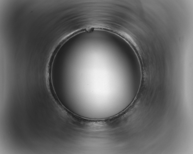 X0000089901133200707051303