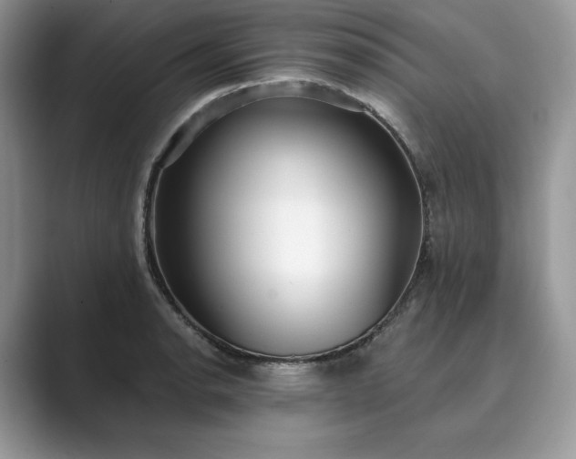 X0000089901134200707051303