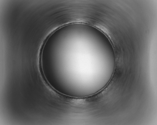 X0000089901135200707051303