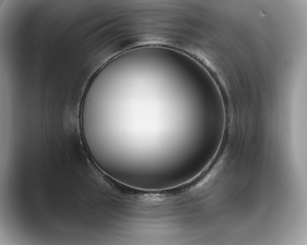 X0000089901137200707051303