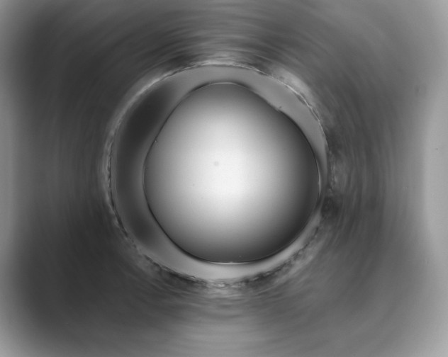 X0000089901138200707051303
