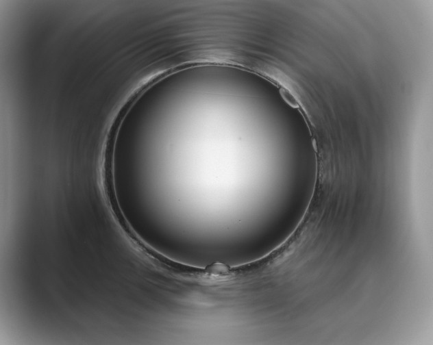 X0000089901139200707051303