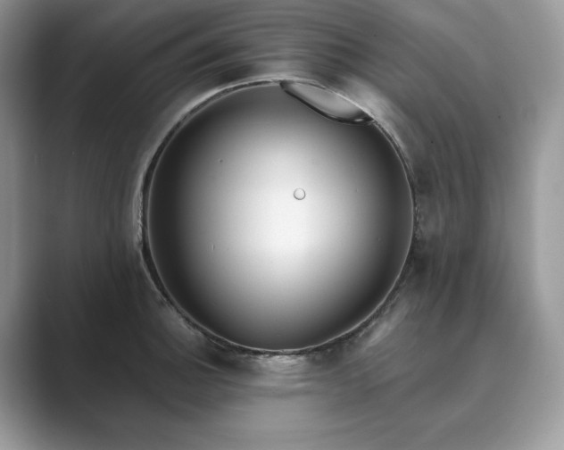 X0000089901140200707051303
