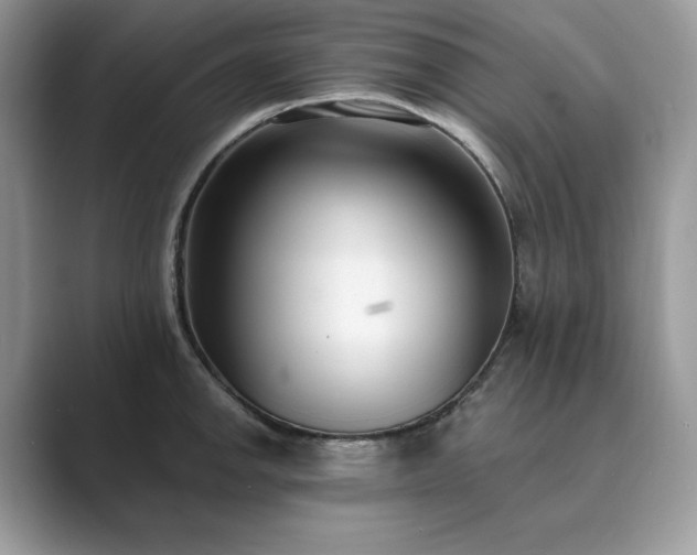 X0000089901142200707051303