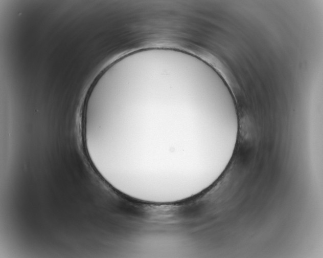X0000089901150200707051303