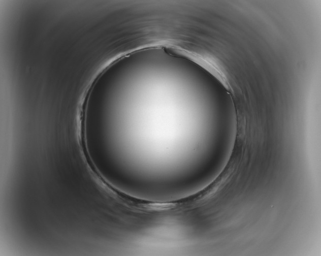 X0000089901151200707051303