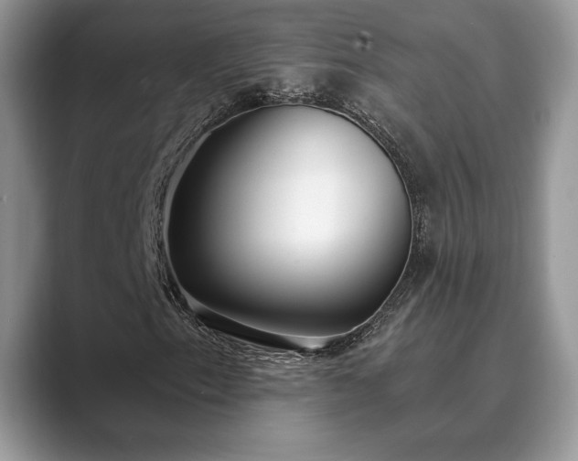 X0000089901153200707051302