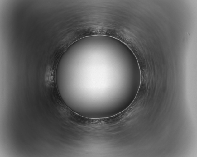 X0000089901154200707051302