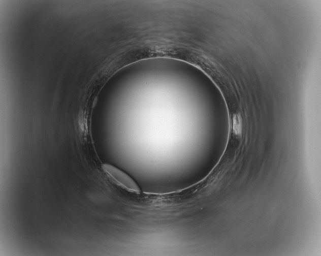 X0000089901155200707051302