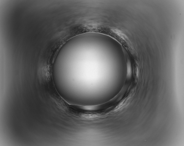 X0000089901156200707051302