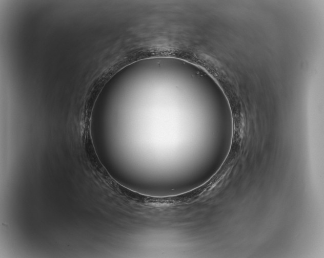 X0000089901157200707051302