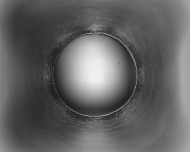 X0000089901158200707051302