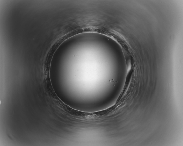 X0000089901160200707051302