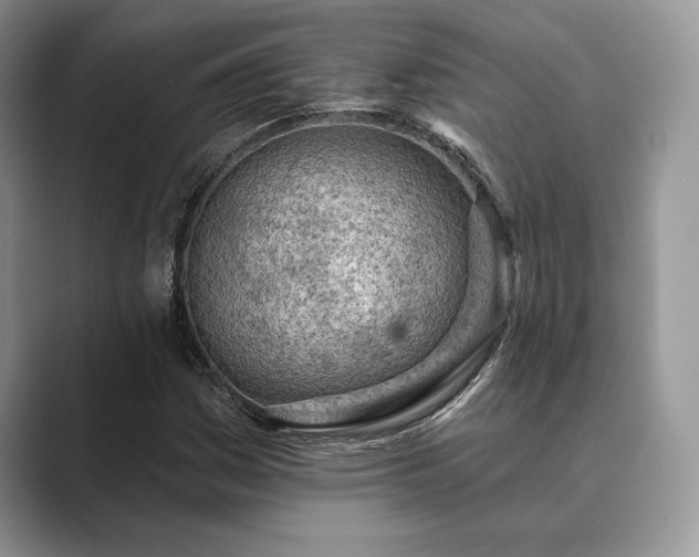 X0000089901161200707051302
