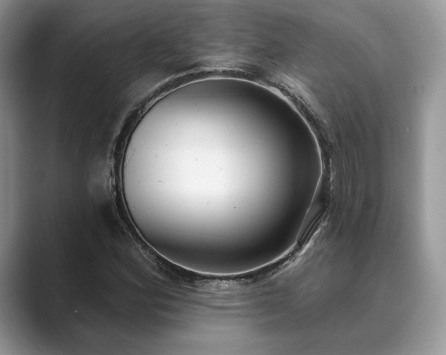 X0000089901164200707051302
