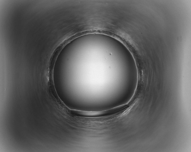 X0000089901165200707051302