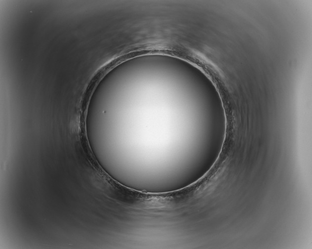 X0000089901166200707051302