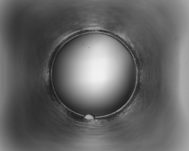 X0000089901167200707051302