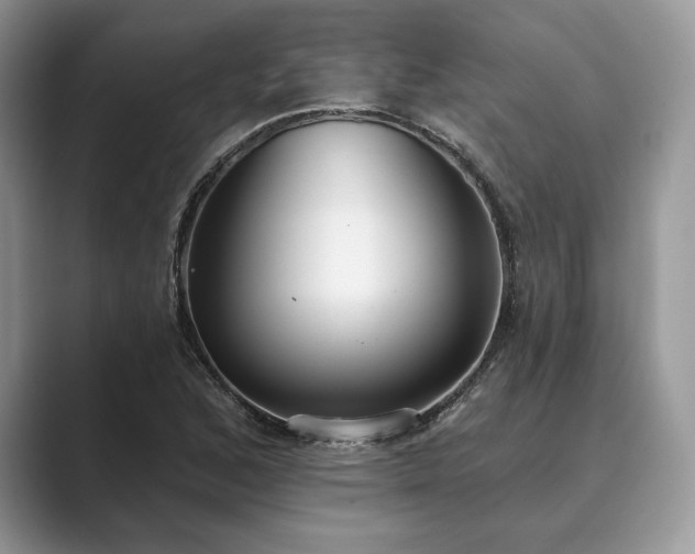 X0000089901168200707051302