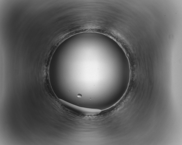 X0000089901169200707051302