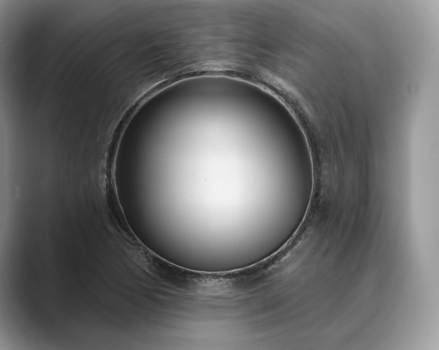X0000089901170200707051302
