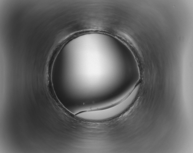 X0000089901172200707051302