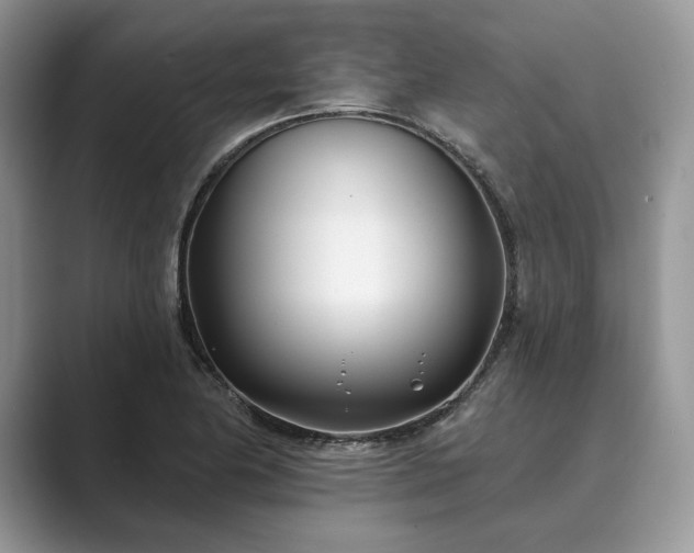 X0000089901174200707051302