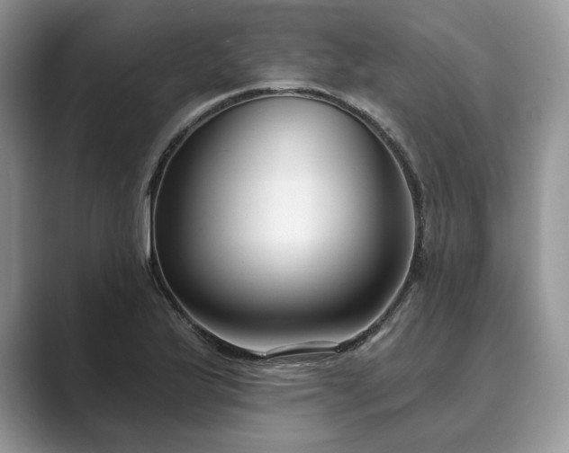 X0000089901175200707051302