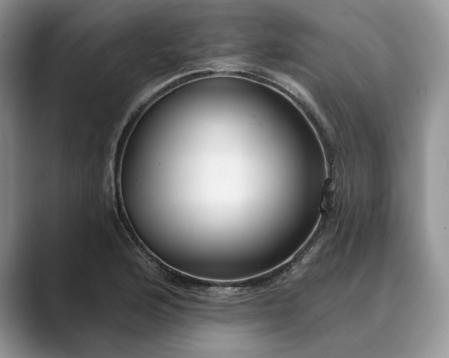 X0000089901176200707051302