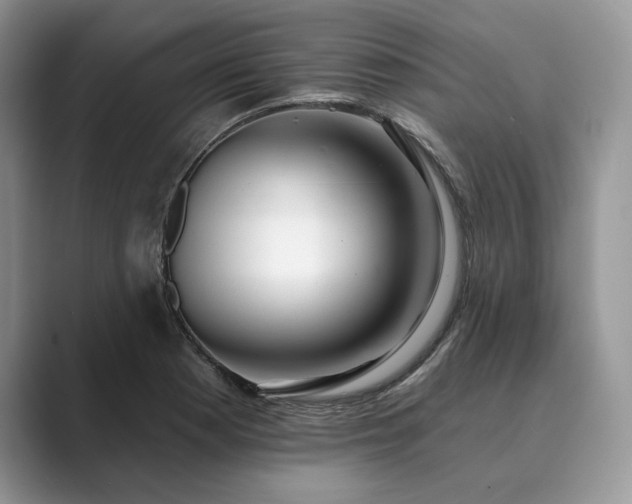 X0000089901177200707051302