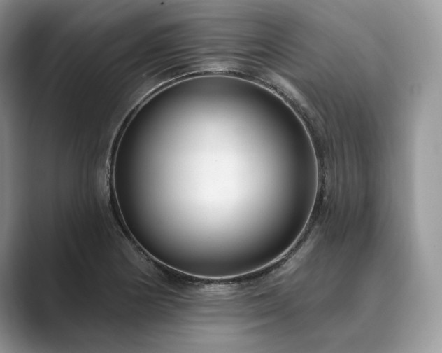 X0000089901178200707051302