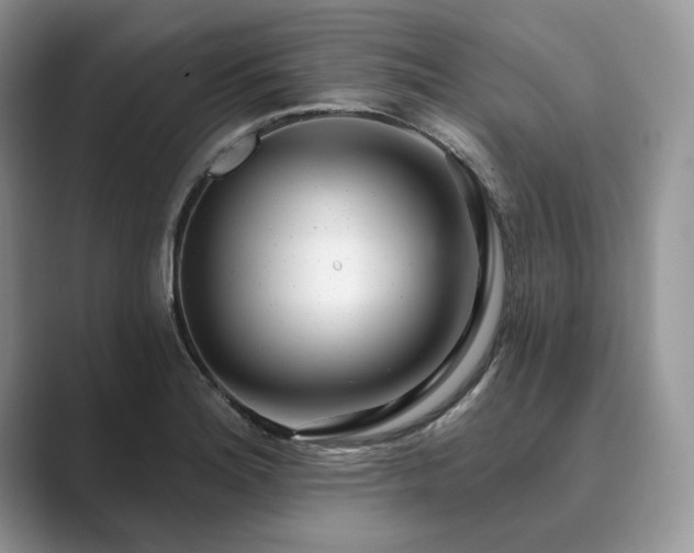 X0000089901180200707051302