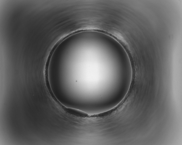 X0000089901181200707051302