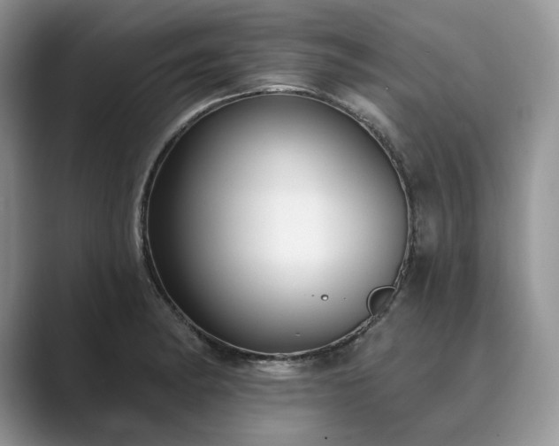 X0000089901182200707051302