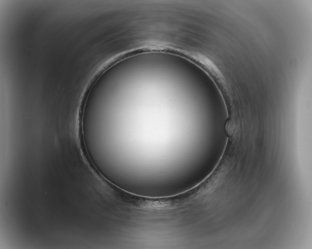 X0000089901183200707051302