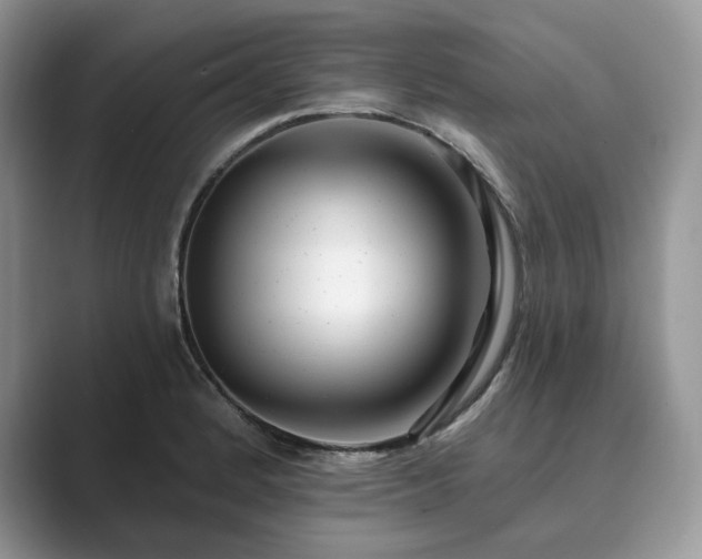 X0000089901184200707051302
