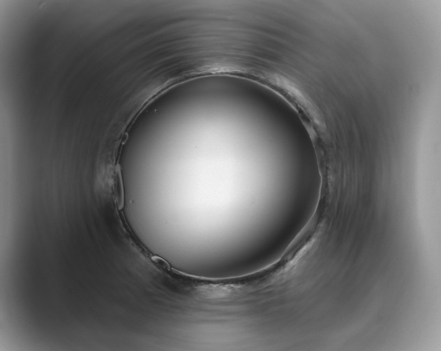 X0000089901185200707051302
