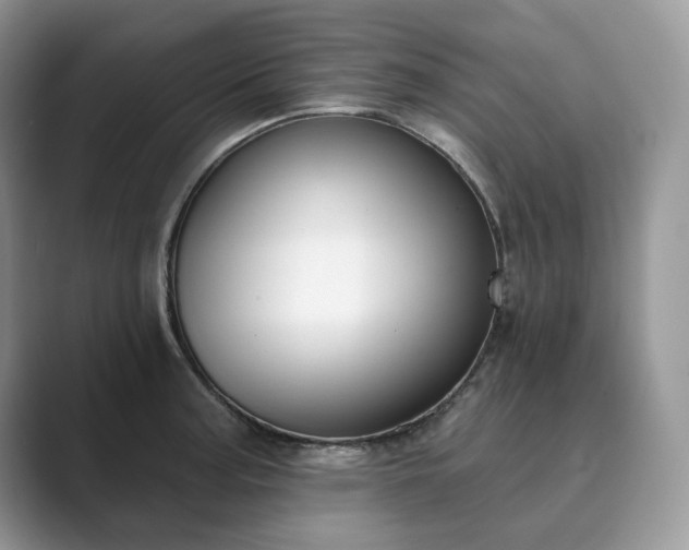 X0000089901187200707051302