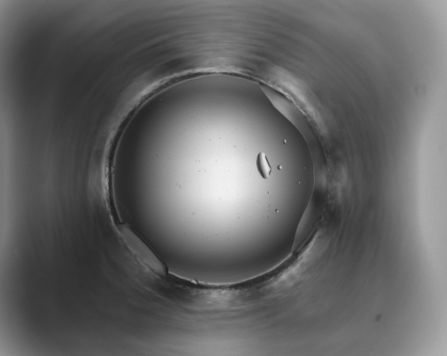 X0000089901188200707051302